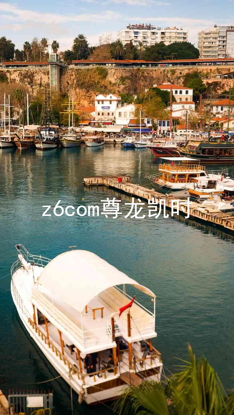 z6com尊龙凯时