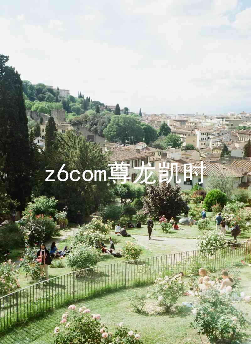 z6com尊龙凯时