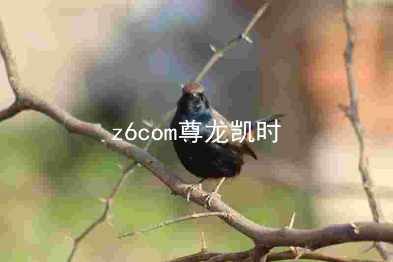 z6com尊龙凯时
